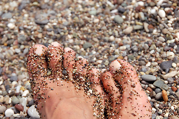 Image showing Toes in pebble