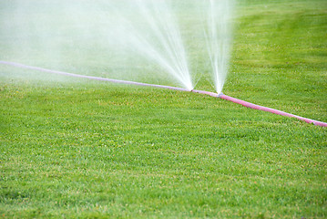 Image showing Sprinkling on grass from damaged hose