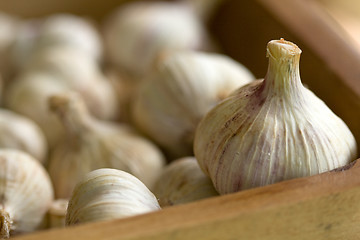 Image showing group of garlic in a box