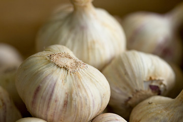 Image showing group of garlic in a box