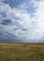 Image showing Landscape - filed, the blue sky, white clouds and sun rays.