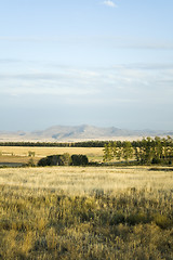 Image showing Landscape with grass, meadow, trees, hills, mountain and cloudy 