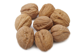 Image showing Walnuts