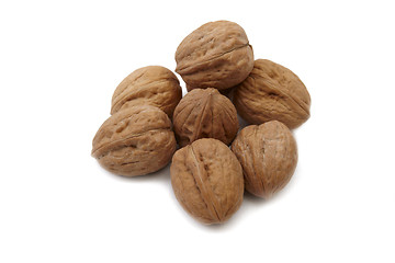 Image showing Walnuts