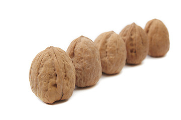 Image showing Walnuts