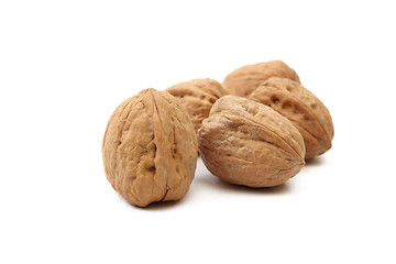 Image showing Walnuts