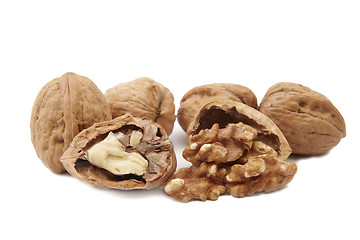 Image showing Isolated walnuts