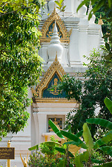 Image showing Temple in the jungle