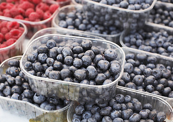 Image showing Blueberries