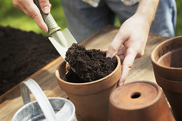 Image showing Potting