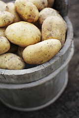 Image showing Potatoes