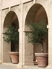 Image showing Olive trees under arches