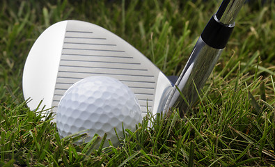 Image showing Golf club and ball in grass