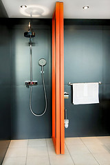 Image showing Black shower