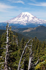 Image showing Mount Rainier with Trees