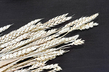 Image showing Wheat angle