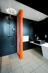 Image showing Shower black