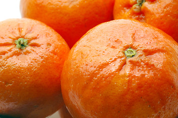 Image showing tangerines macro