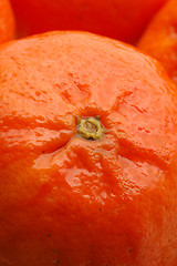 Image showing tangerine macro