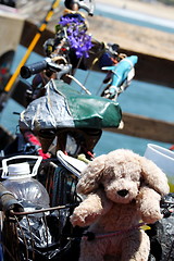 Image showing Dog Bike