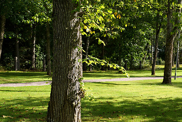 Image showing Linden Tree Park