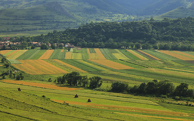 Image showing Fields