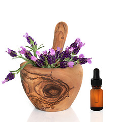 Image showing Lavender Herb Flowers and Essence