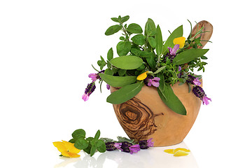 Image showing Healing Herbs and Flowers