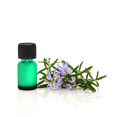 Image showing Rosemary Herb Essential Oil