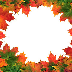Image showing Maple Leaf Abstract Frame