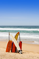 Image showing Surf boards.