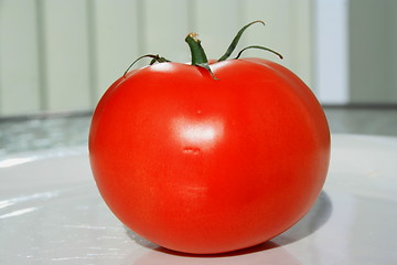 Image showing Red Tomato