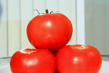 Image showing Red Tomatos