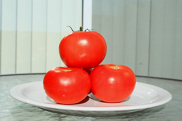 Image showing Red Tomatos