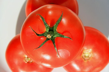 Image showing Red Tomatos