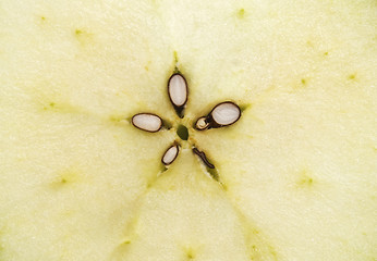 Image showing apple