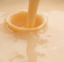 Image showing yogurt splash