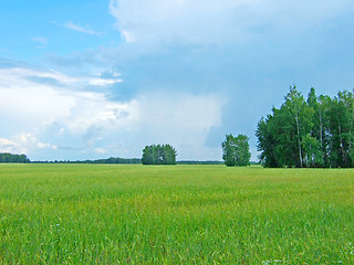 Image showing rainy day