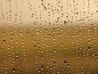 Image showing Raindrops