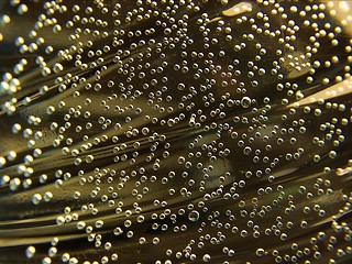 Image showing Bubbles