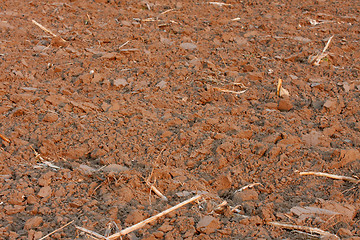 Image showing Soil