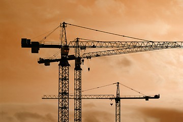 Image showing Cranes