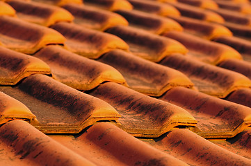 Image showing Roof tiles