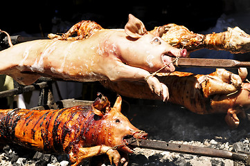 Image showing Roasted pigs