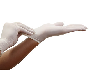 Image showing Surgical gloves