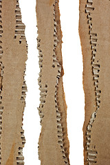 Image showing Stripes of corrugated cardboard