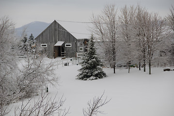 Image showing Winter scene