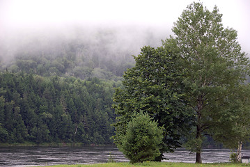 Image showing Summer Landscape