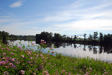 Image showing Summer Landscape