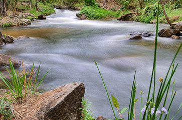 Image showing river or stream nature landscape